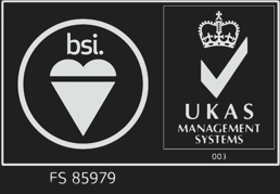 BSI Logo